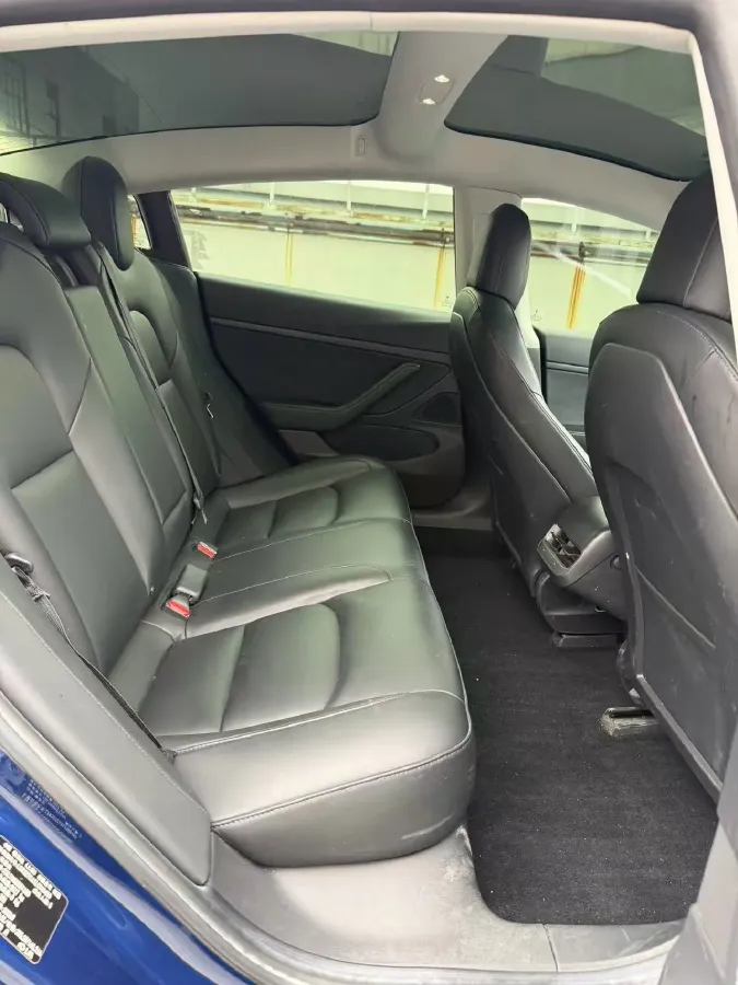 2020 Tesla Model 3 BEV 52KWH,autocango,china used car exporter,china ev exporter,chinese used car exporter,chinese used ev exporter