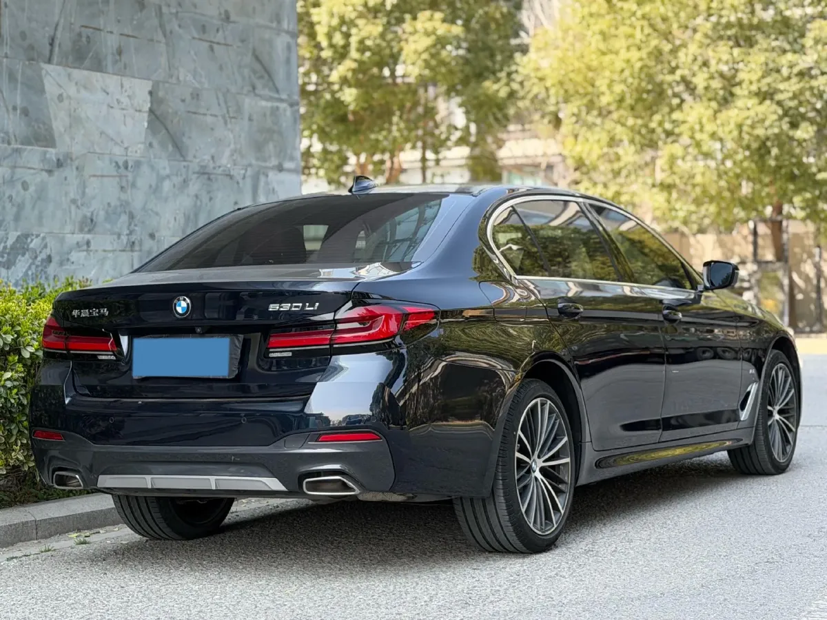 2023 BMW 5 Series 2.0T 245HP L4 8AT,autocango,china used car exporter,china ev exporter,chinese used car exporter,chinese used ev exporter