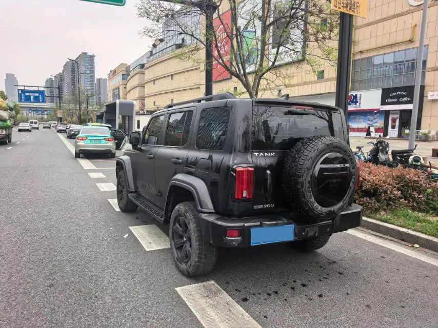 2021 Tank 300 2.0T 227HP L4 8AT,autocango,china used car exporter,china ev exporter,chinese used car exporter,chinese used ev exporter