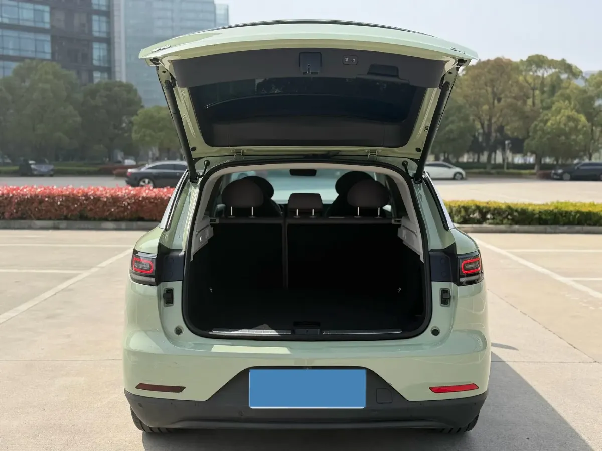 2021 Leapmotor C11 BEV 78.54KWH,autocango,china used car exporter,china ev exporter,chinese used car exporter,chinese used ev exporter