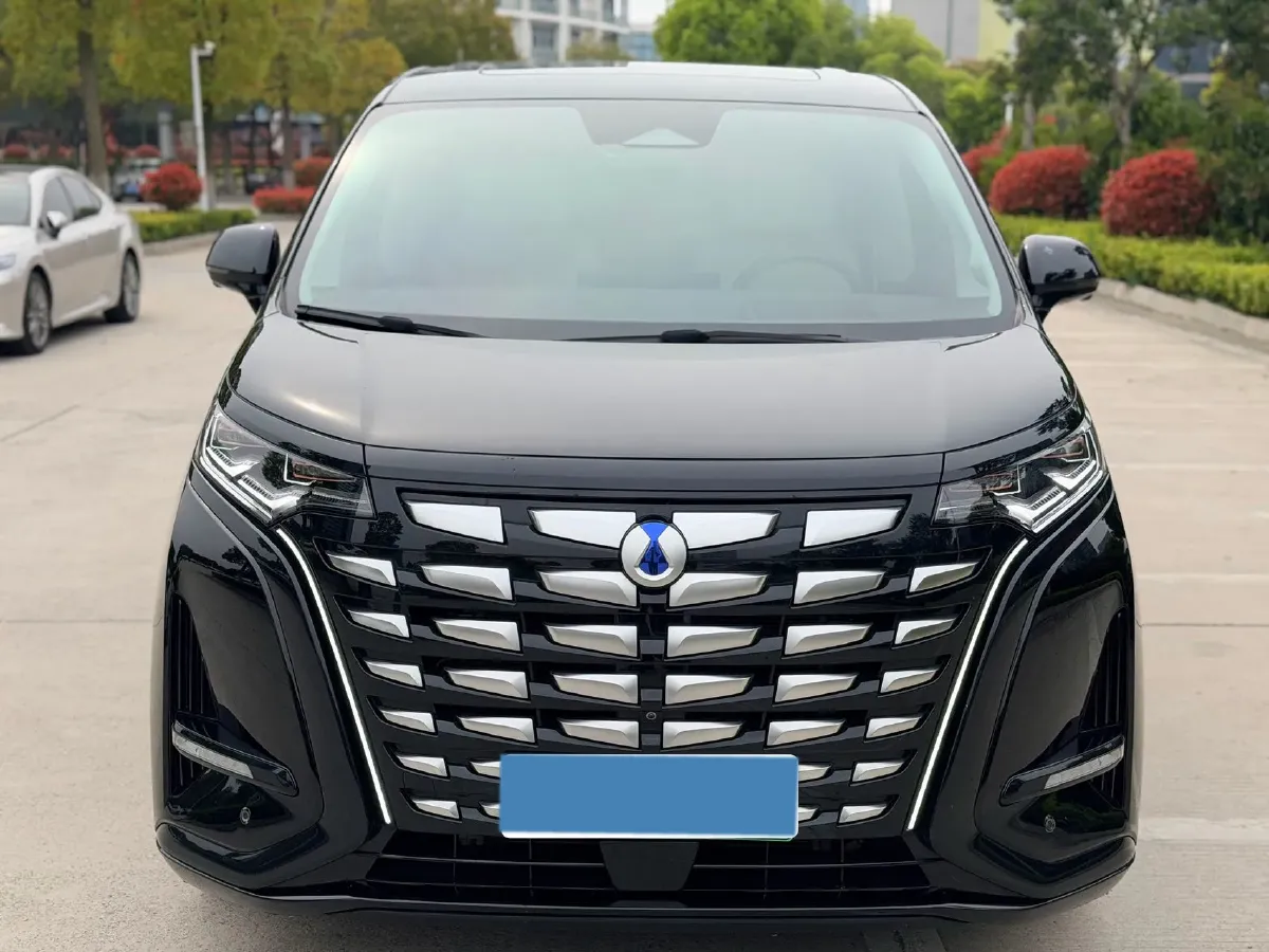 2024 Denza D9 1.5T 139HP L4 E-CVT PHEV 40KWH,autocango,china used car exporter,china ev exporter,chinese used car exporter,chinese used ev exporter