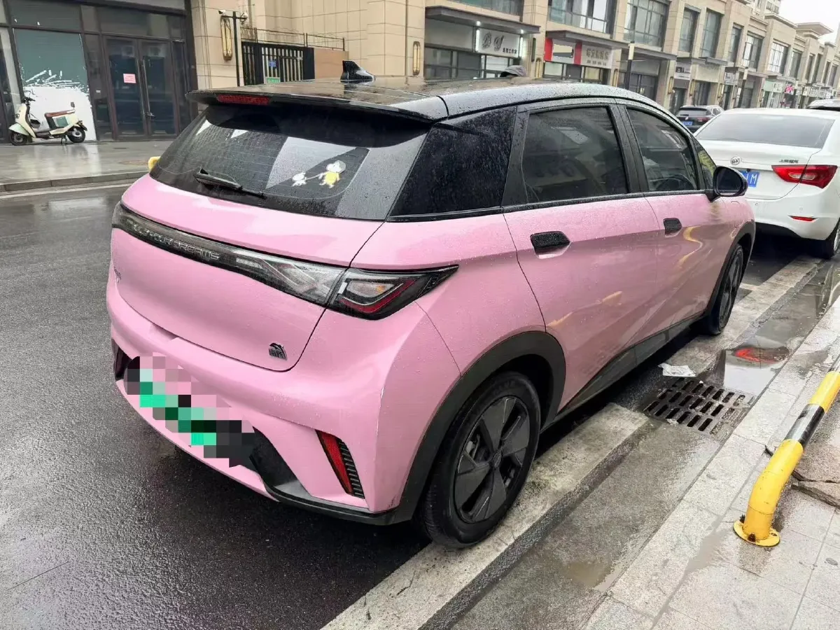 2023 BYD Dolphin BEV 44.928KWH,autocango,china used car exporter,china ev exporter,chinese used car exporter,chinese used ev exporter