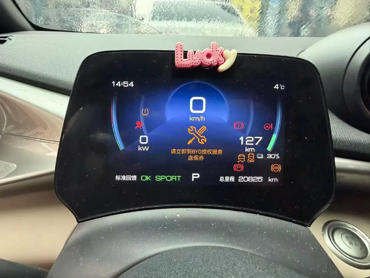 2023 BYD Dolphin BEV 44.928KWH,autocango,china used car exporter,china ev exporter,chinese used car exporter,chinese used ev exporter