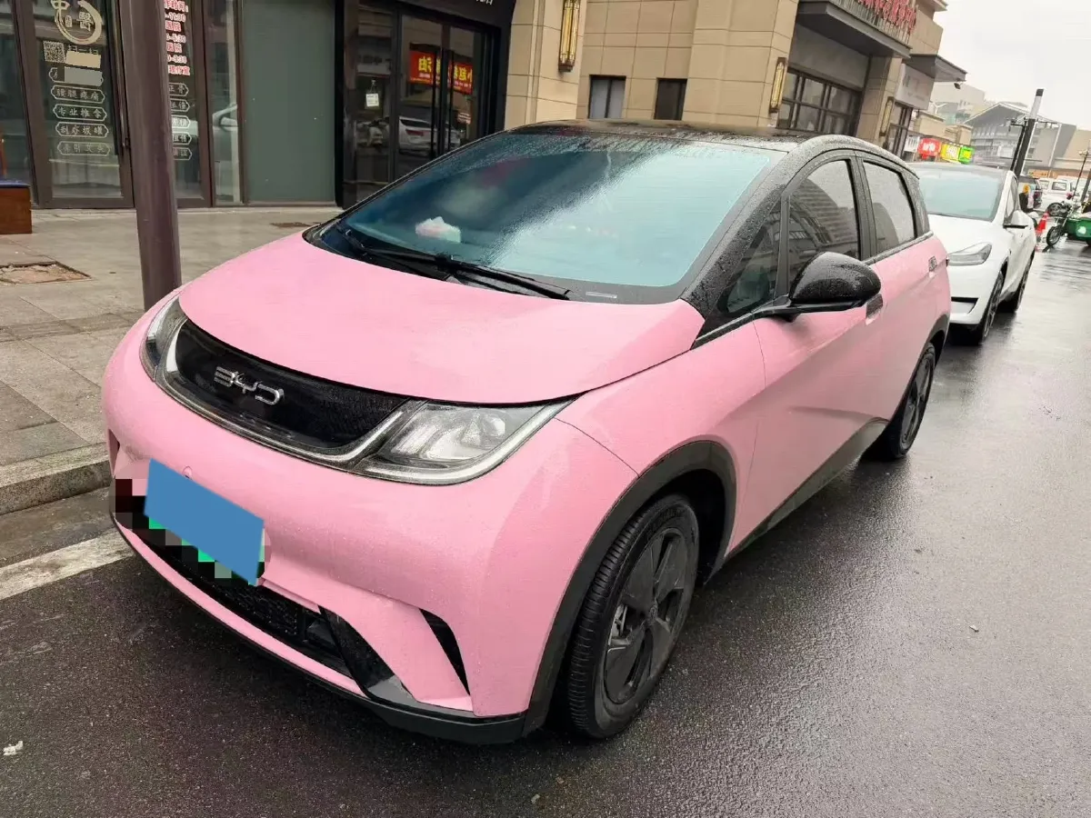 2023 BYD Dolphin BEV 44.928KWH,autocango,china used car exporter,china ev exporter,chinese used car exporter,chinese used ev exporter