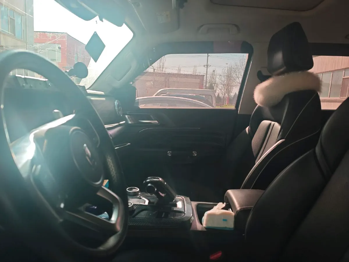 2023 Tank 300 2.0T 227HP L4 8AT,autocango,china used car exporter,china ev exporter,chinese used car exporter,chinese used ev exporter