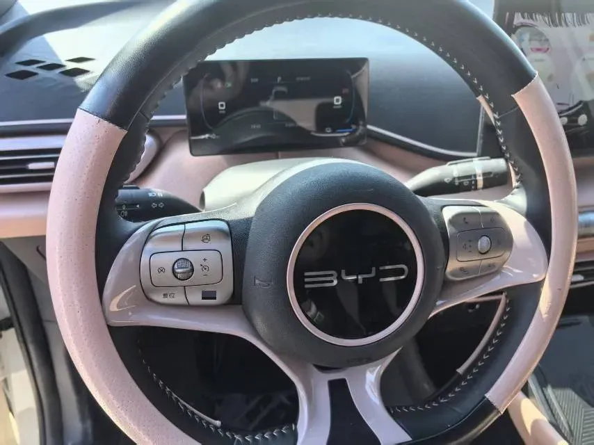2024 BYD Seagull BEV 30.08KWH,autocango,china used car exporter,china ev exporter,chinese used car exporter,chinese used ev exporter