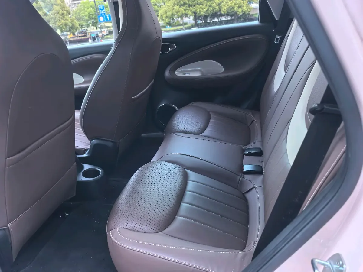 2023 WuLing BinGuo BEV 37.9KWH,autocango,china used car exporter,china ev exporter,chinese used car exporter,chinese used ev exporter