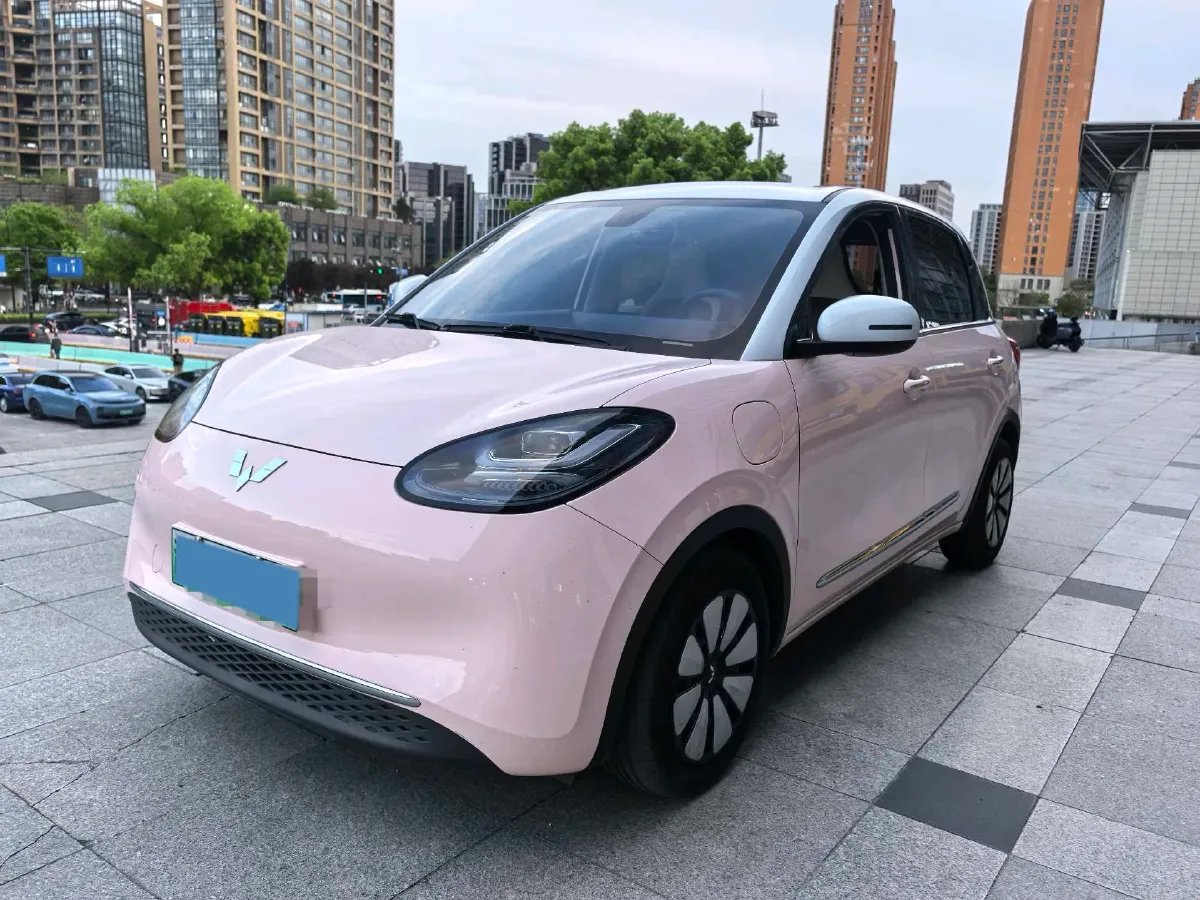 2023 WuLing BinGuo BEV 37.9KWH,autocango,china used car exporter,china ev exporter,chinese used car exporter,chinese used ev exporter