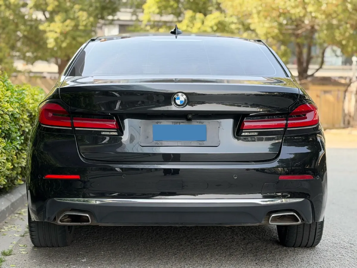 2021 BMW 5 Series 2.0T 184HP L4 8AT PHEV 17.7KWH,autocango,china used car exporter,china ev exporter,chinese used car exporter,chinese used ev exporter