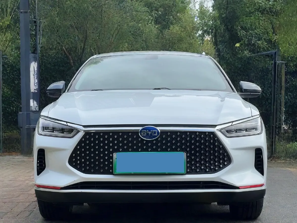 2019 BYD e2 BEV 47.3KWH,autocango,china used car exporter,china ev exporter,chinese used car exporter,chinese used ev exporter
