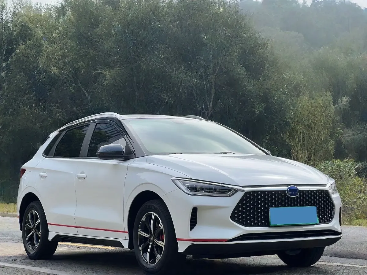 2019 BYD e2 BEV 47.3KWH,autocango,china used car exporter,china ev exporter,chinese used car exporter,chinese used ev exporter