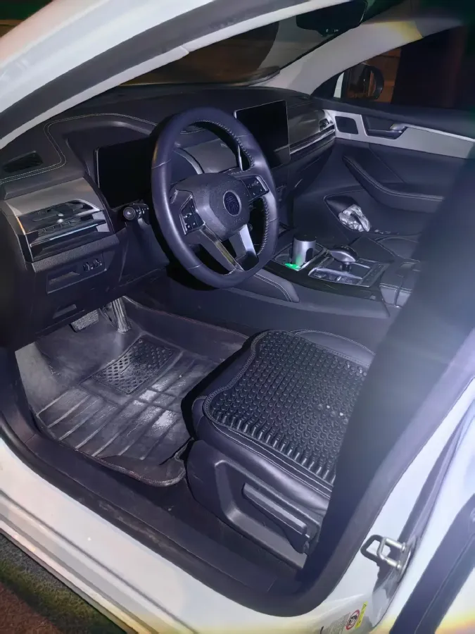 2019 BYD Qin Pro BEV 53.1KWH,autocango,china used car exporter,china ev exporter,chinese used car exporter,chinese used ev exporter