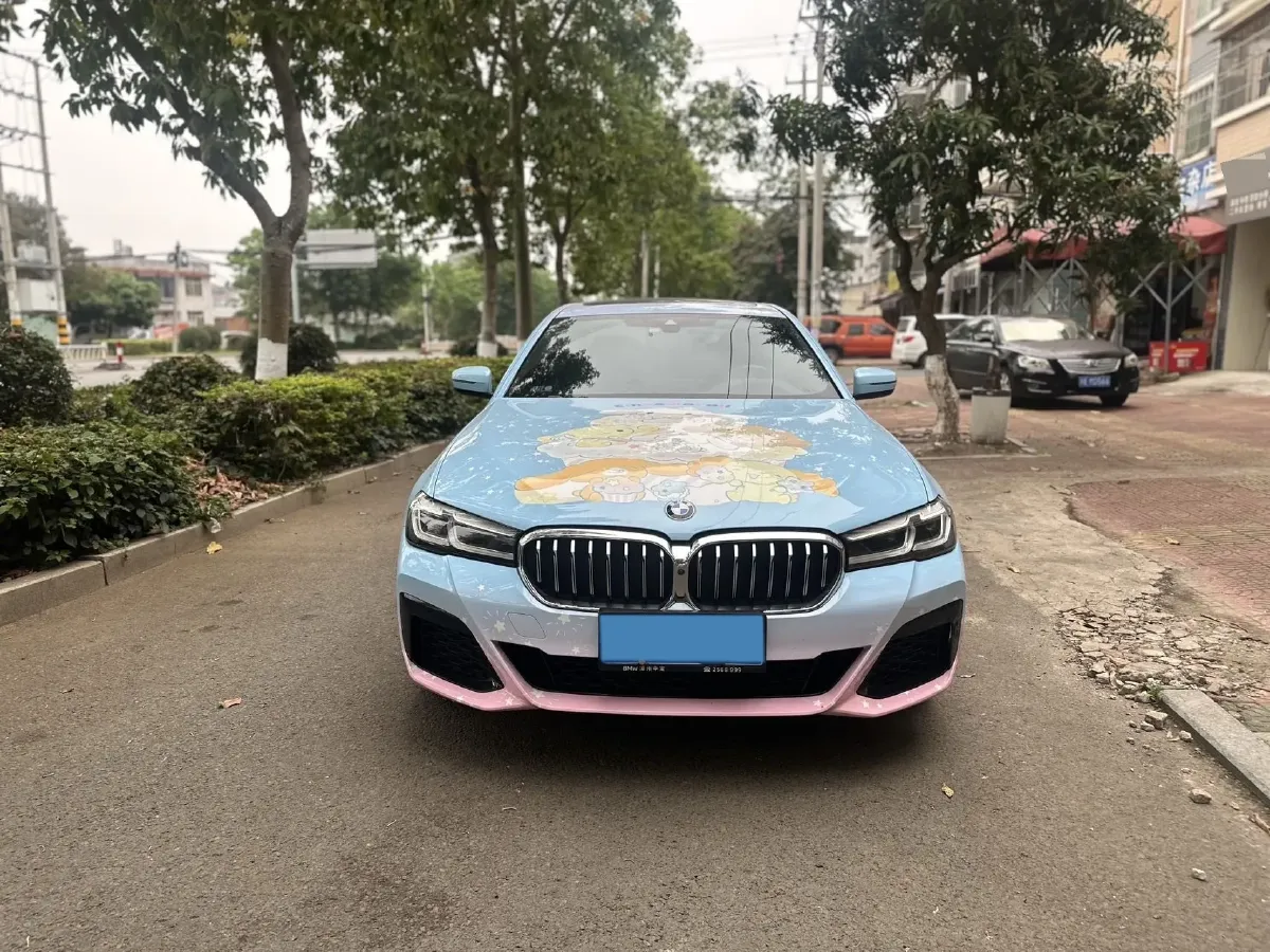 2023 BMW 5 Series 2.0T 245HP L4 8AT,autocango,china used car exporter,china ev exporter,chinese used car exporter,chinese used ev exporter