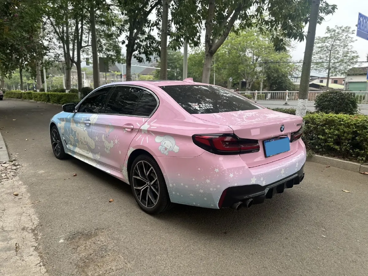 2023 BMW 5 Series 2.0T 245HP L4 8AT,autocango,china used car exporter,china ev exporter,chinese used car exporter,chinese used ev exporter