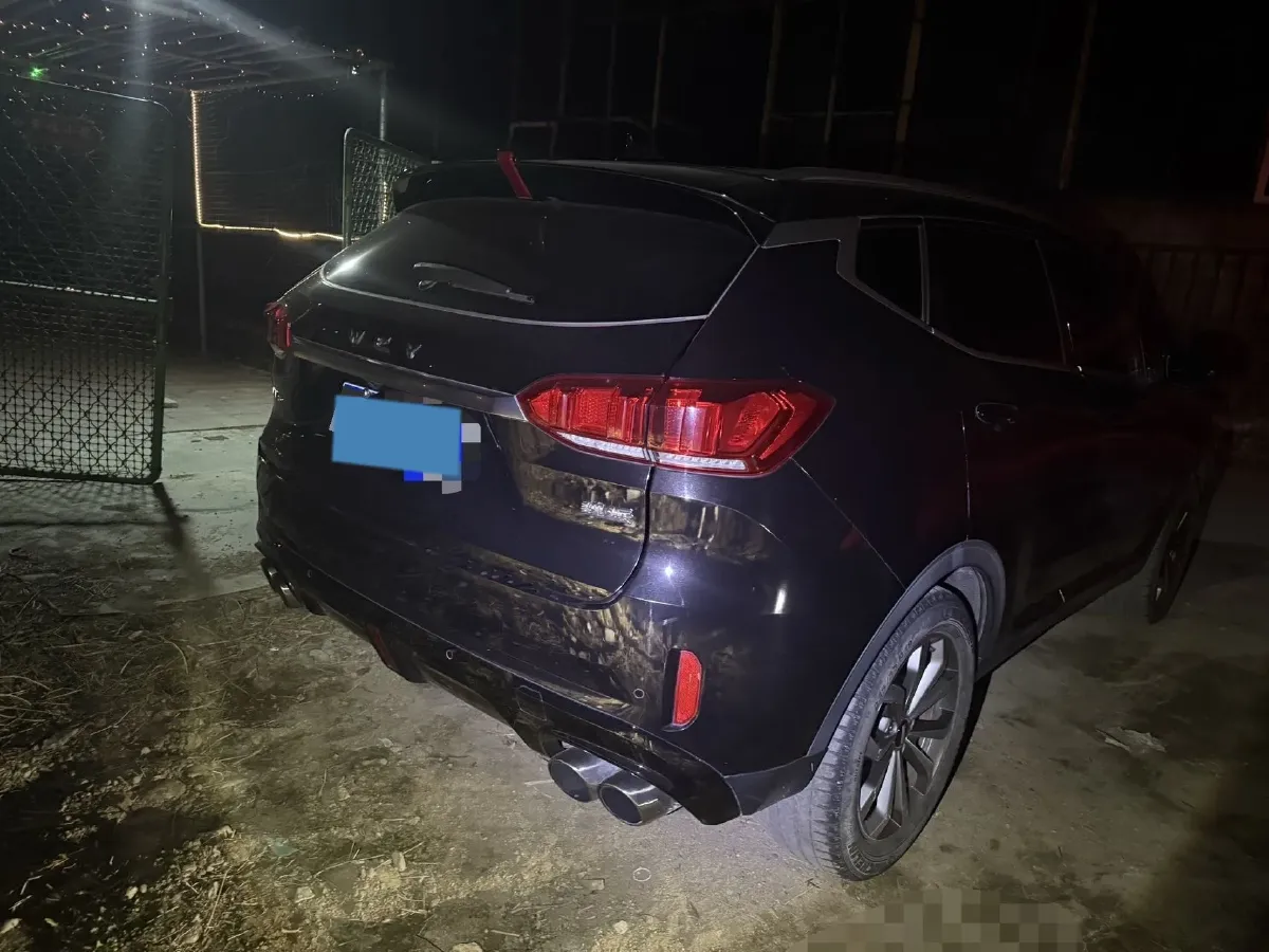 2018 WEY VV6 2.0T 197HP L4 7DCT,autocango,china used car exporter,china ev exporter,chinese used car exporter,chinese used ev exporter