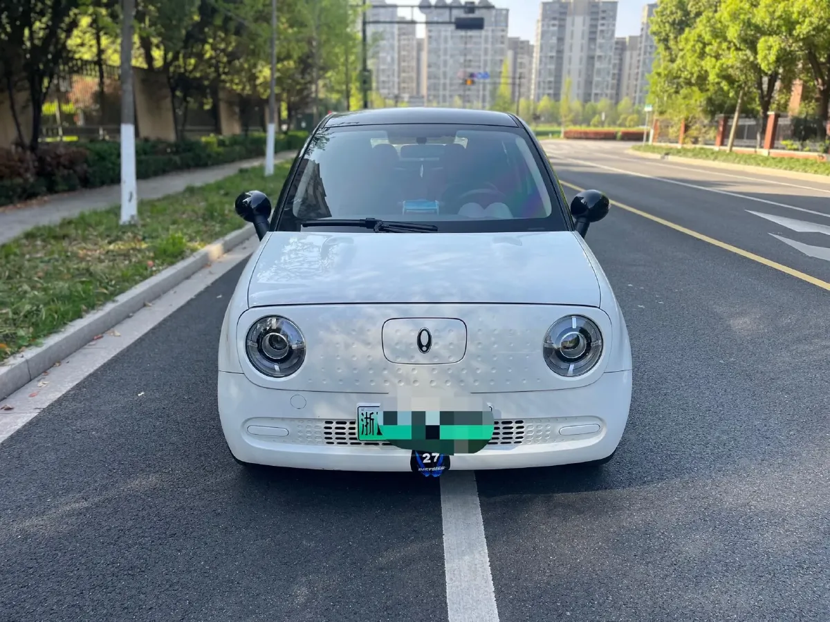 2021 Ora BlackCat BEV 28.5KWH,autocango,china used car exporter,china ev exporter,chinese used car exporter,chinese used ev exporter
