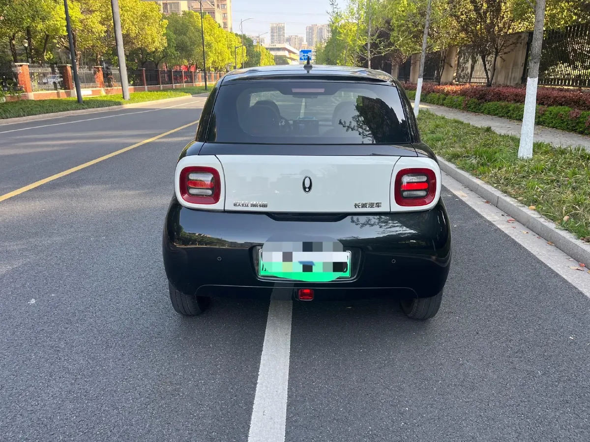 2021 Ora BlackCat BEV 28.5KWH,autocango,china used car exporter,china ev exporter,chinese used car exporter,chinese used ev exporter