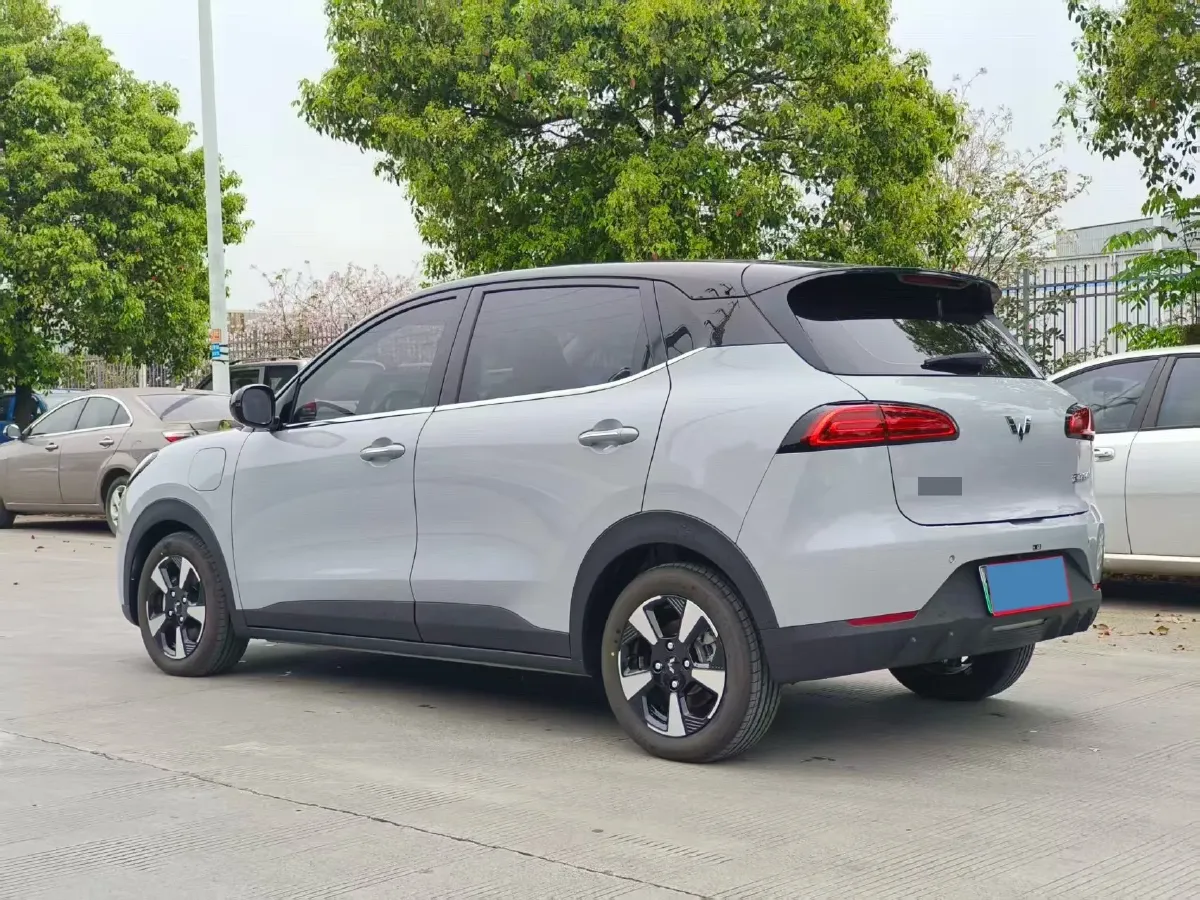 2024 WuLing BinGuoPLUS BEV 37.9KWH,autocango,china used car exporter,china ev exporter,chinese used car exporter,chinese used ev exporter