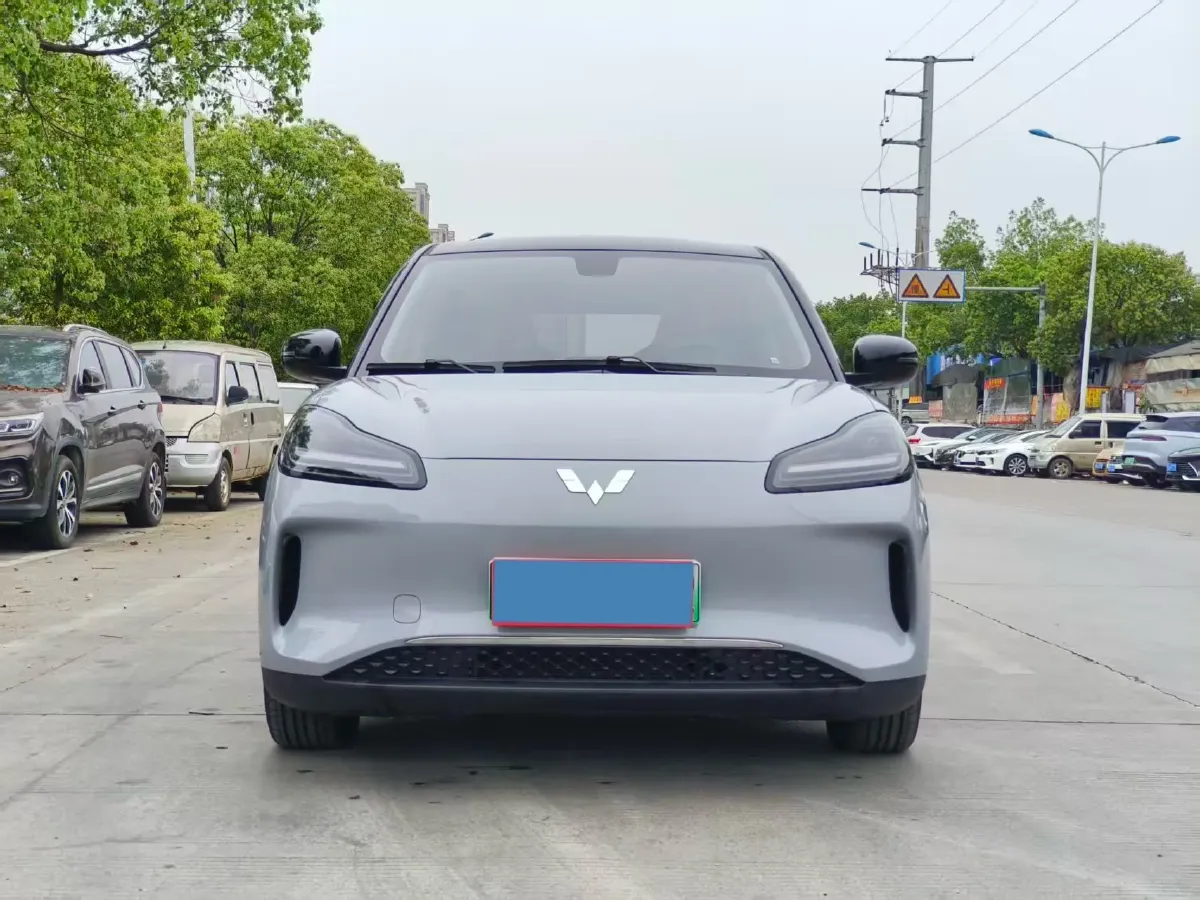 2024 WuLing BinGuoPLUS BEV 37.9KWH,autocango,china used car exporter,china ev exporter,chinese used car exporter,chinese used ev exporter