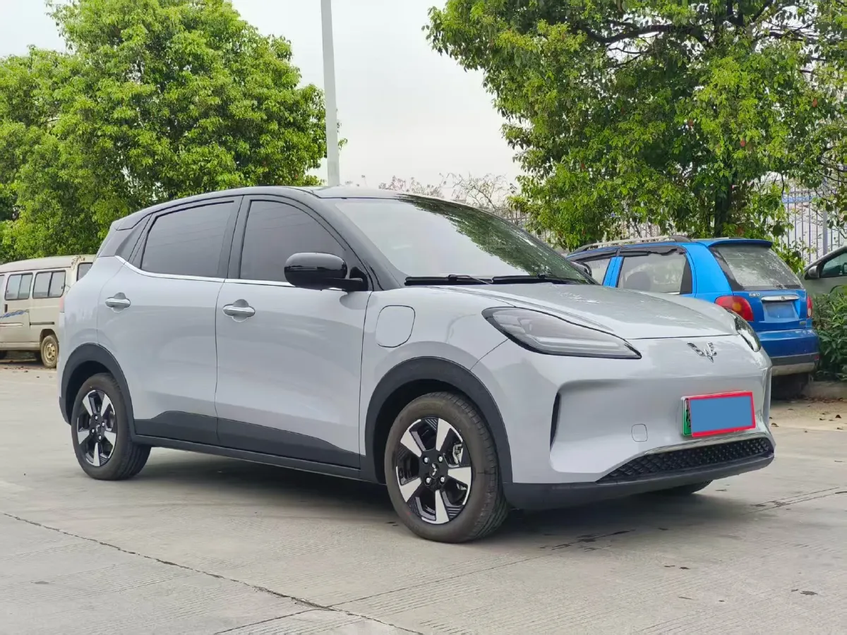 2024 WuLing BinGuoPLUS BEV 37.9KWH,autocango,china used car exporter,china ev exporter,chinese used car exporter,chinese used ev exporter
