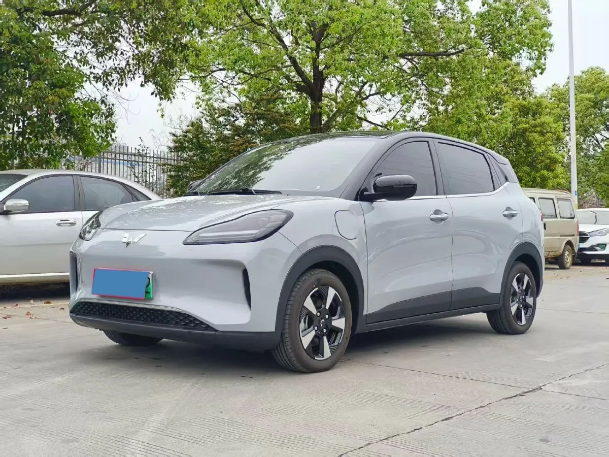 2024 WuLing BinGuoPLUS BEV 37.9KWH,autocango,china used car exporter,china ev exporter,chinese used car exporter,chinese used ev exporter