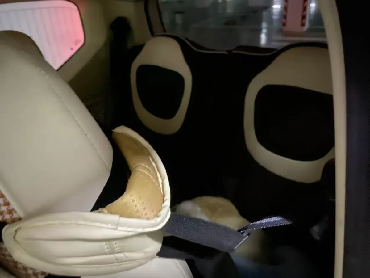 2024 WuLing HongGuang MINI EV BEV 17.3KWH,autocango,china used car exporter,china ev exporter,chinese used car exporter,chinese used ev exporter