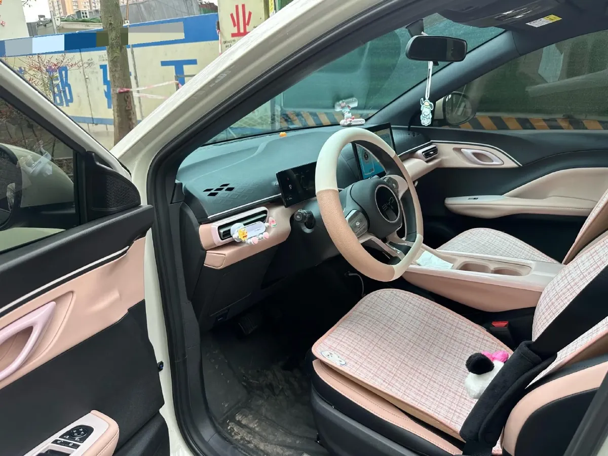 2025 BYD Seagull BEV 30.08KWH,autocango,china used car exporter,china ev exporter,chinese used car exporter,chinese used ev exporter