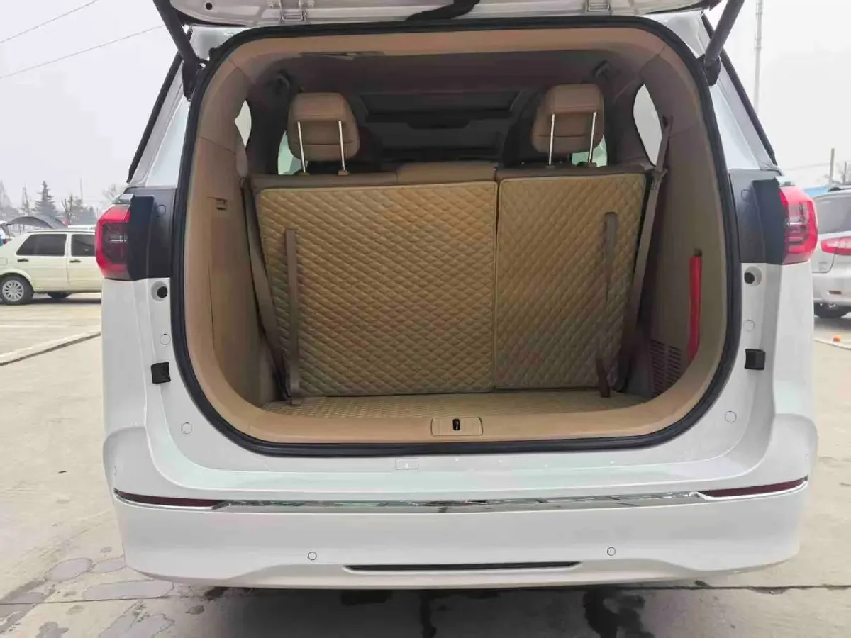 2020 Buick GL8 2.0T 237HP L4 9AT,autocango,china used car exporter,china ev exporter,chinese used car exporter,chinese used ev exporter