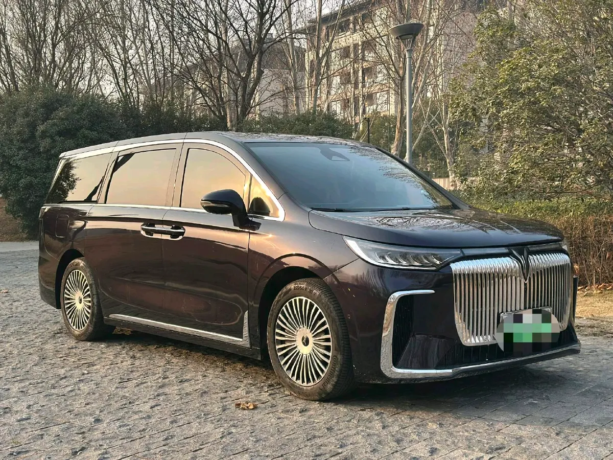 2025 Voyah Dream 1.5T 150HP L4 PHEV 41.7KWH,autocango,china used car exporter,china ev exporter,chinese used car exporter,chinese used ev exporter