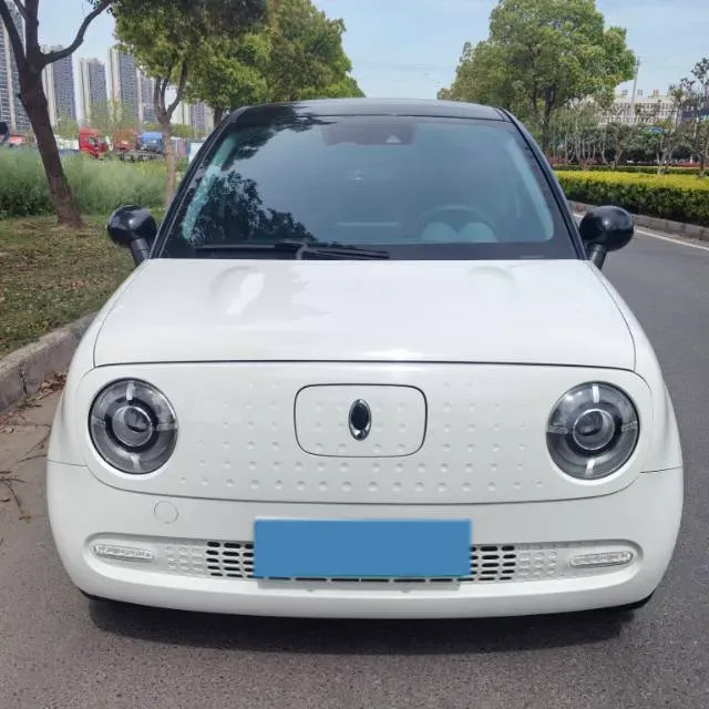 2021 Ora BlackCat BEV 36KWH,autocango,china used car exporter,china ev exporter,chinese used car exporter,chinese used ev exporter