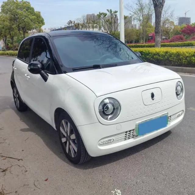 2021 Ora BlackCat BEV 36KWH,autocango,china used car exporter,china ev exporter,chinese used car exporter,chinese used ev exporter