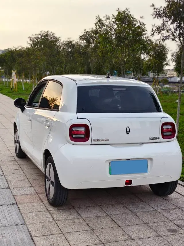 2022 Ora BlackCat BEV 30.3KWH,autocango,china used car exporter,china ev exporter,chinese used car exporter,chinese used ev exporter