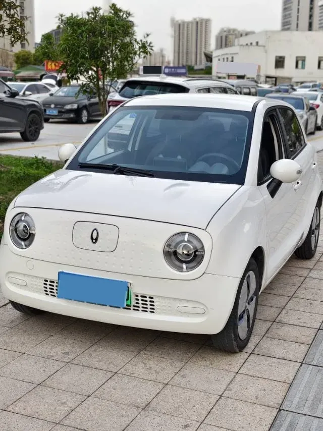2022 Ora BlackCat BEV 30.3KWH,autocango,china used car exporter,china ev exporter,chinese used car exporter,chinese used ev exporter