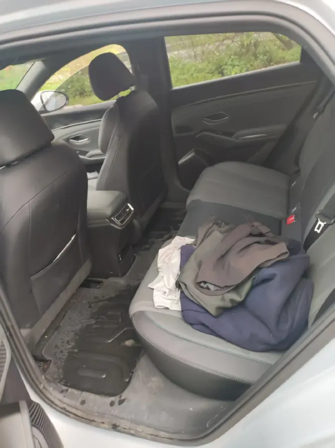 2024 BYD QinL 1.5L 101HP L4 E-CVT PHEV 10.08KWH,autocango,china used car exporter,china ev exporter,chinese used car exporter,chinese used ev exporter