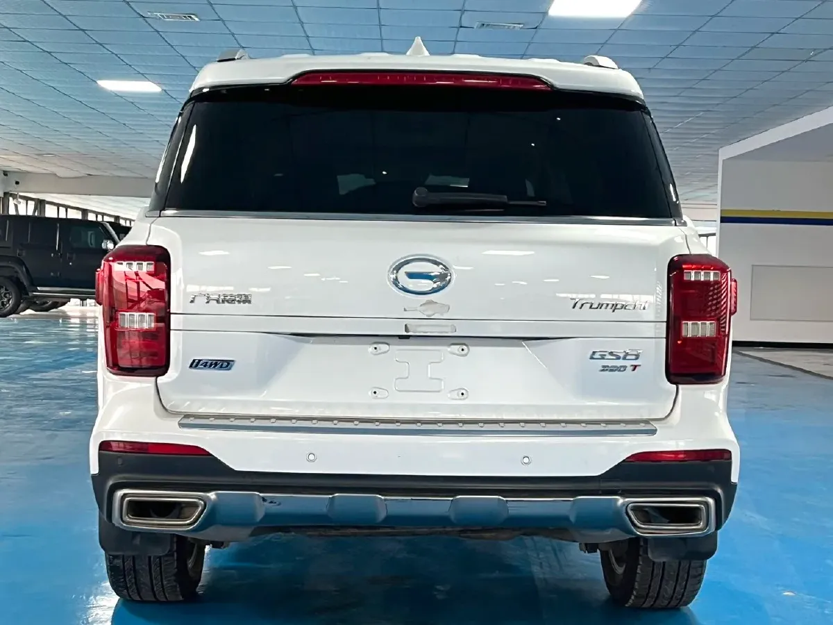 2020 GAC Trumpchi GS8 2.0T 252HP L4 6AT,autocango,china used car exporter,china ev exporter,chinese used car exporter,chinese used ev exporter