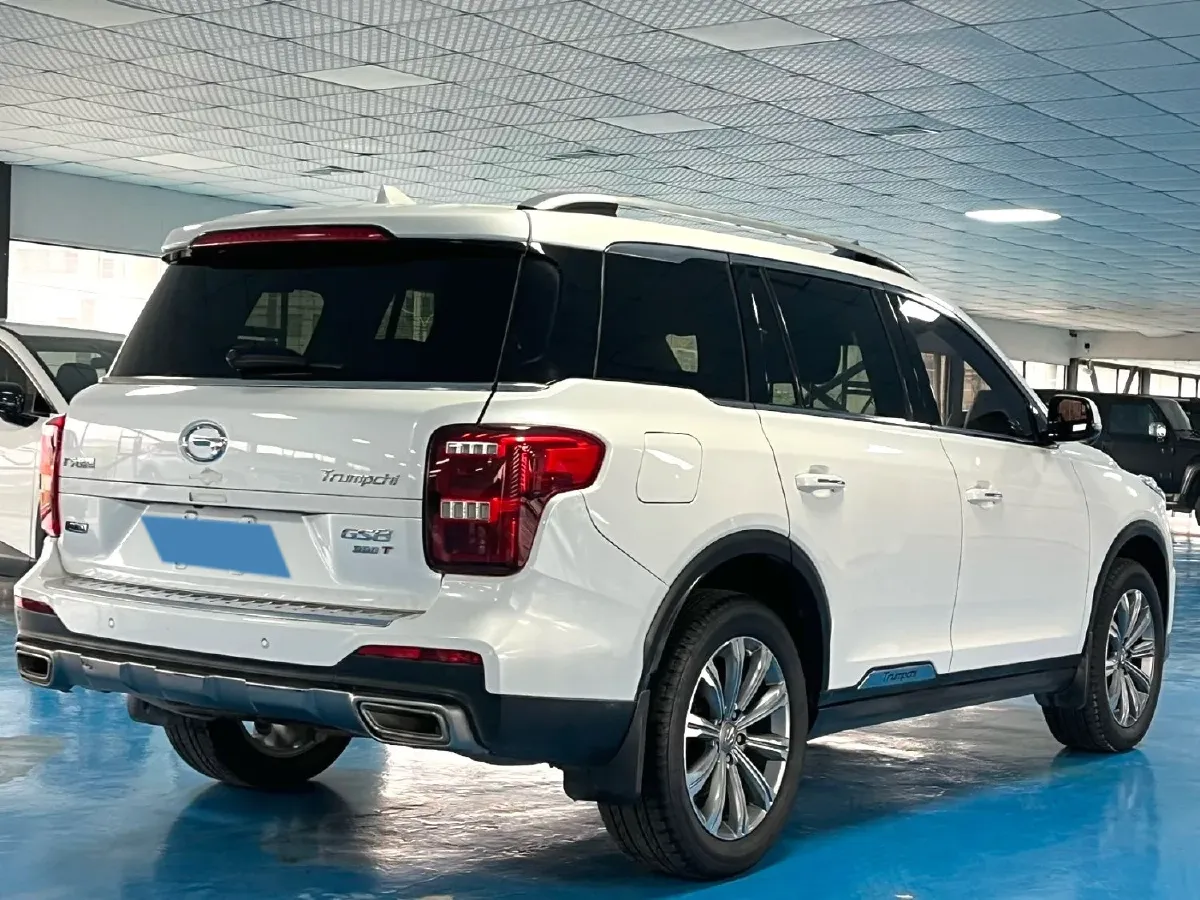 2020 GAC Trumpchi GS8 2.0T 252HP L4 6AT,autocango,china used car exporter,china ev exporter,chinese used car exporter,chinese used ev exporter