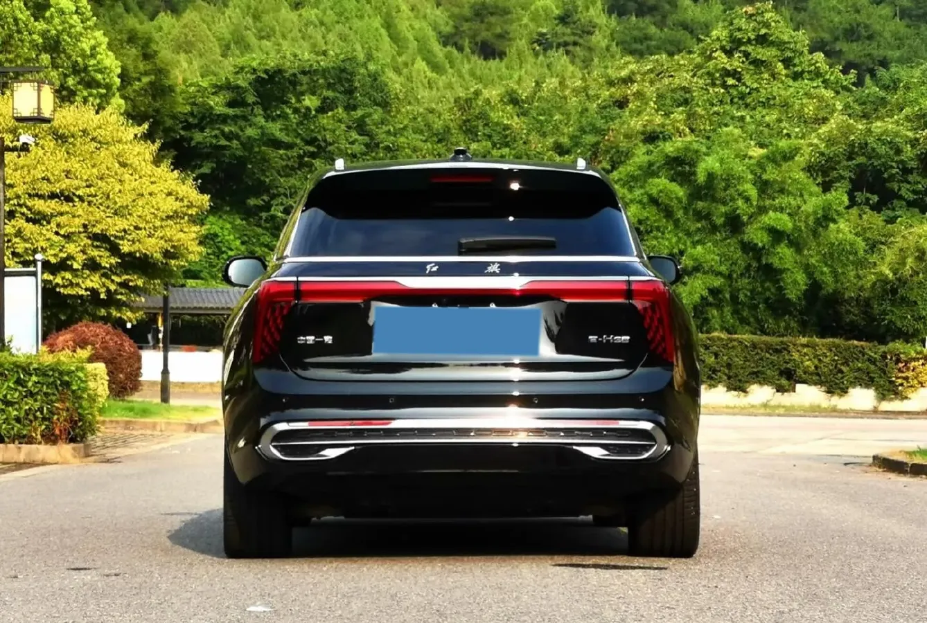 2021 HongQi E-HS9 BEV 99KWH,autocango,china used car exporter,china ev exporter,chinese used car exporter,chinese used ev exporter