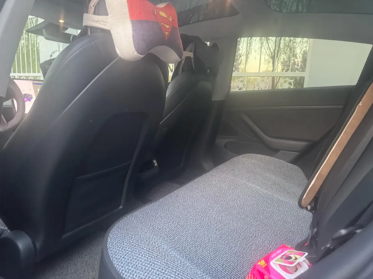 2020 Tesla Model 3 BEV 52KWH,autocango,china used car exporter,china ev exporter,chinese used car exporter,chinese used ev exporter