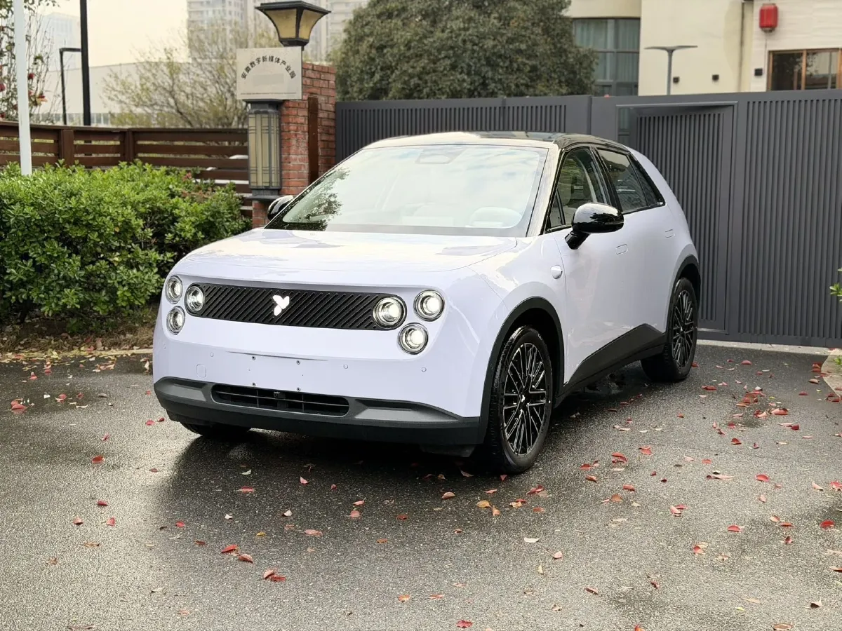 2025 Firefly Firefly BEV,autocango,china used car exporter,china ev exporter,chinese used car exporter,chinese used ev exporter