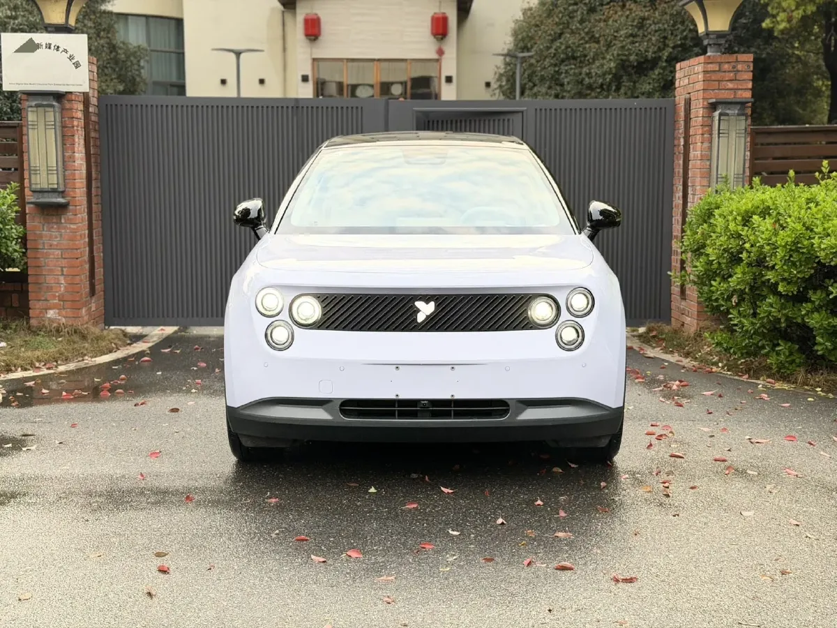 2025 Firefly Firefly BEV,autocango,china used car exporter,china ev exporter,chinese used car exporter,chinese used ev exporter