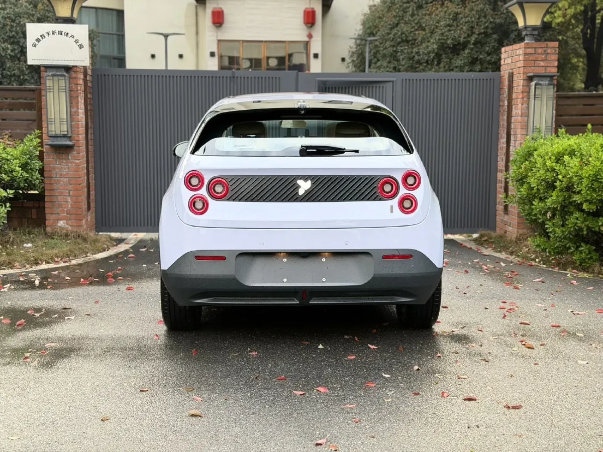 2025 Firefly Firefly BEV,autocango,china used car exporter,china ev exporter,chinese used car exporter,chinese used ev exporter