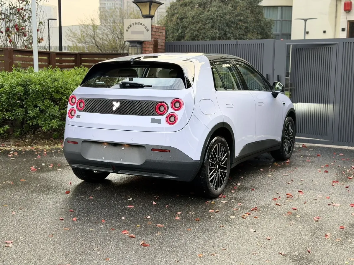 2025 Firefly Firefly BEV,autocango,china used car exporter,china ev exporter,chinese used car exporter,chinese used ev exporter