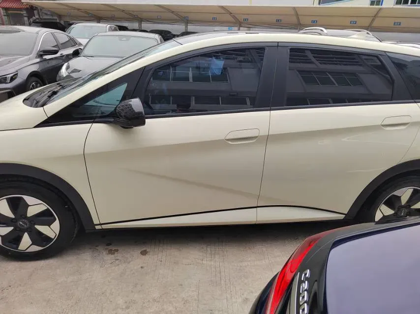 2024 BYD Dolphin BEV 44.928KWH,autocango,china used car exporter,china ev exporter,chinese used car exporter,chinese used ev exporter