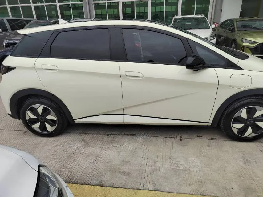 2024 BYD Dolphin BEV 44.928KWH,autocango,china used car exporter,china ev exporter,chinese used car exporter,chinese used ev exporter