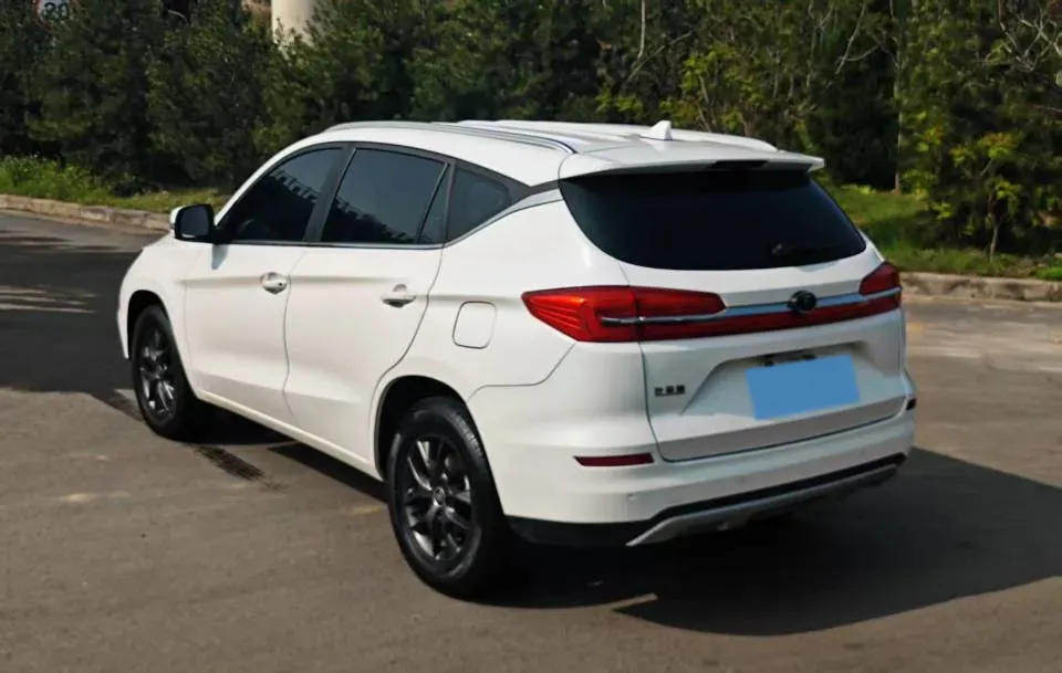 2020 BYD Song 1.5T 160HP L4 6DCT,autocango,china used car exporter,china ev exporter,chinese used car exporter,chinese used ev exporter