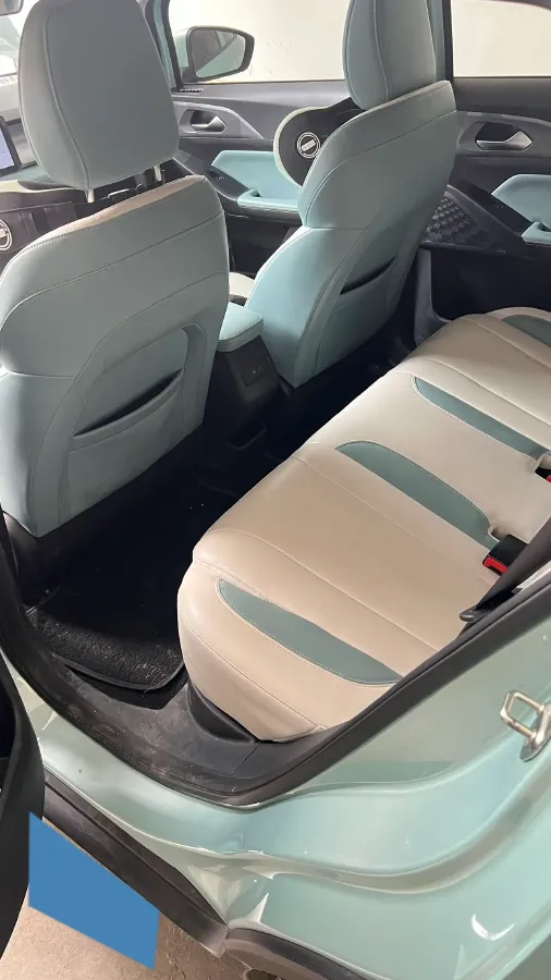 2024 Geometry E BEV 39.3KWH,autocango,china used car exporter,china ev exporter,chinese used car exporter,chinese used ev exporter