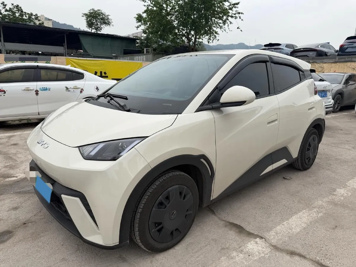 2025 BYD Seagull BEV 30.08KWH,autocango,china used car exporter,china ev exporter,chinese used car exporter,chinese used ev exporter