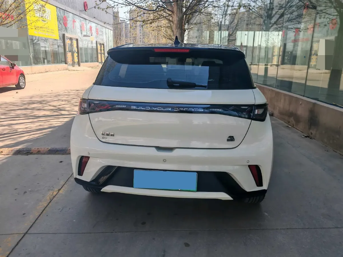 2023 BYD Dolphin BEV 44.928KWH,autocango,china used car exporter,china ev exporter,chinese used car exporter,chinese used ev exporter