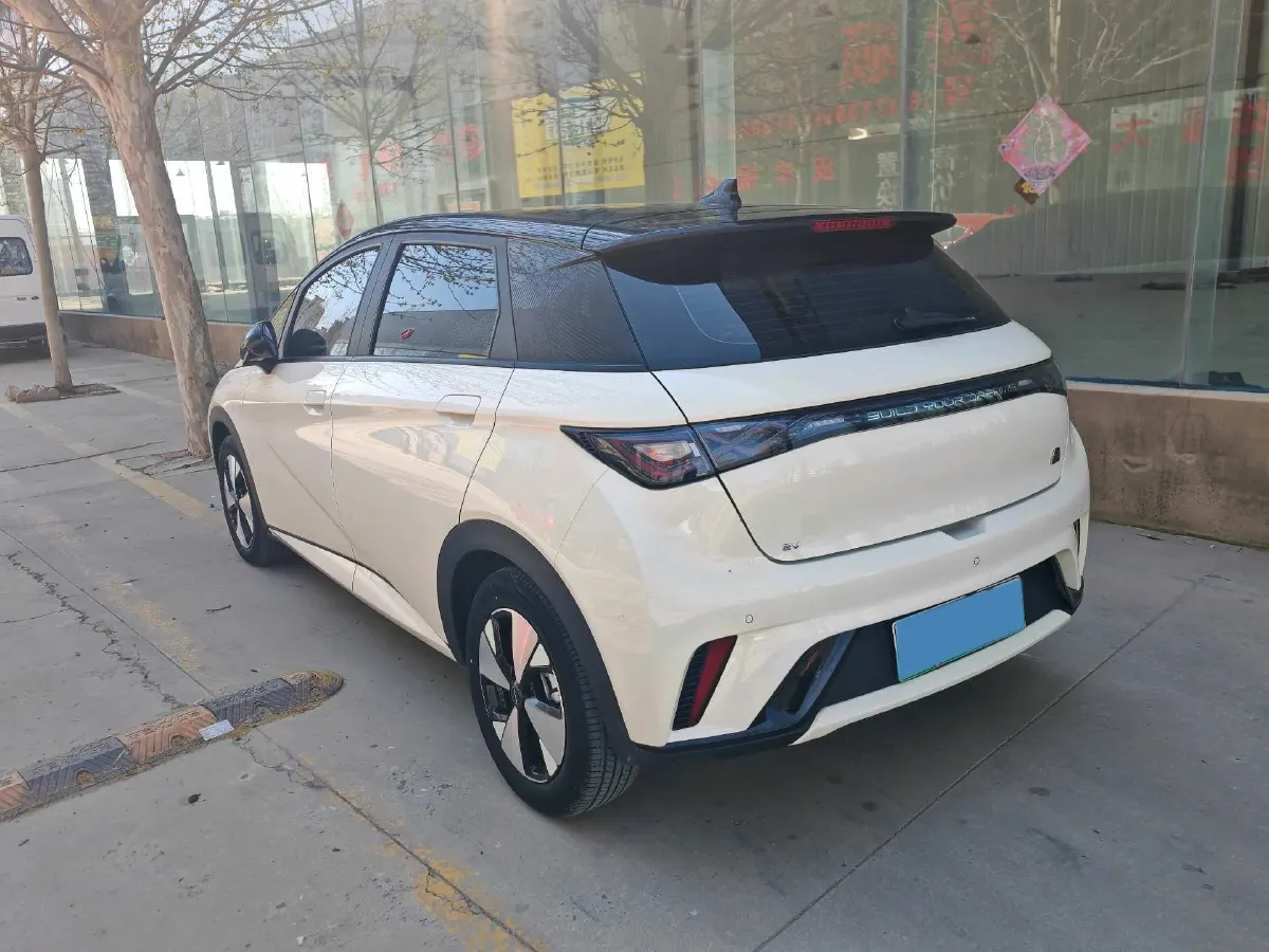 2023 BYD Dolphin BEV 44.928KWH,autocango,china used car exporter,china ev exporter,chinese used car exporter,chinese used ev exporter