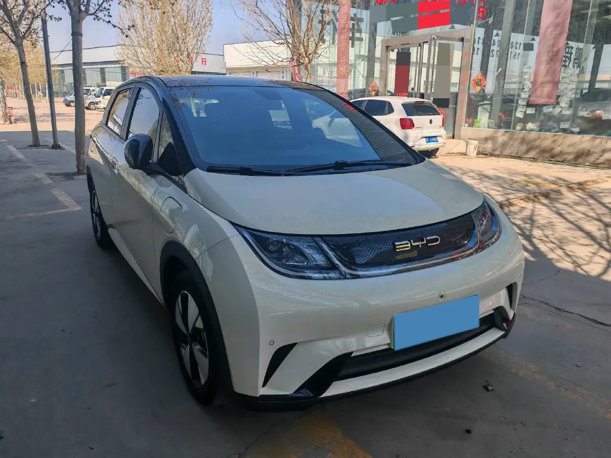 2023 BYD Dolphin BEV 44.928KWH,autocango,china used car exporter,china ev exporter,chinese used car exporter,chinese used ev exporter